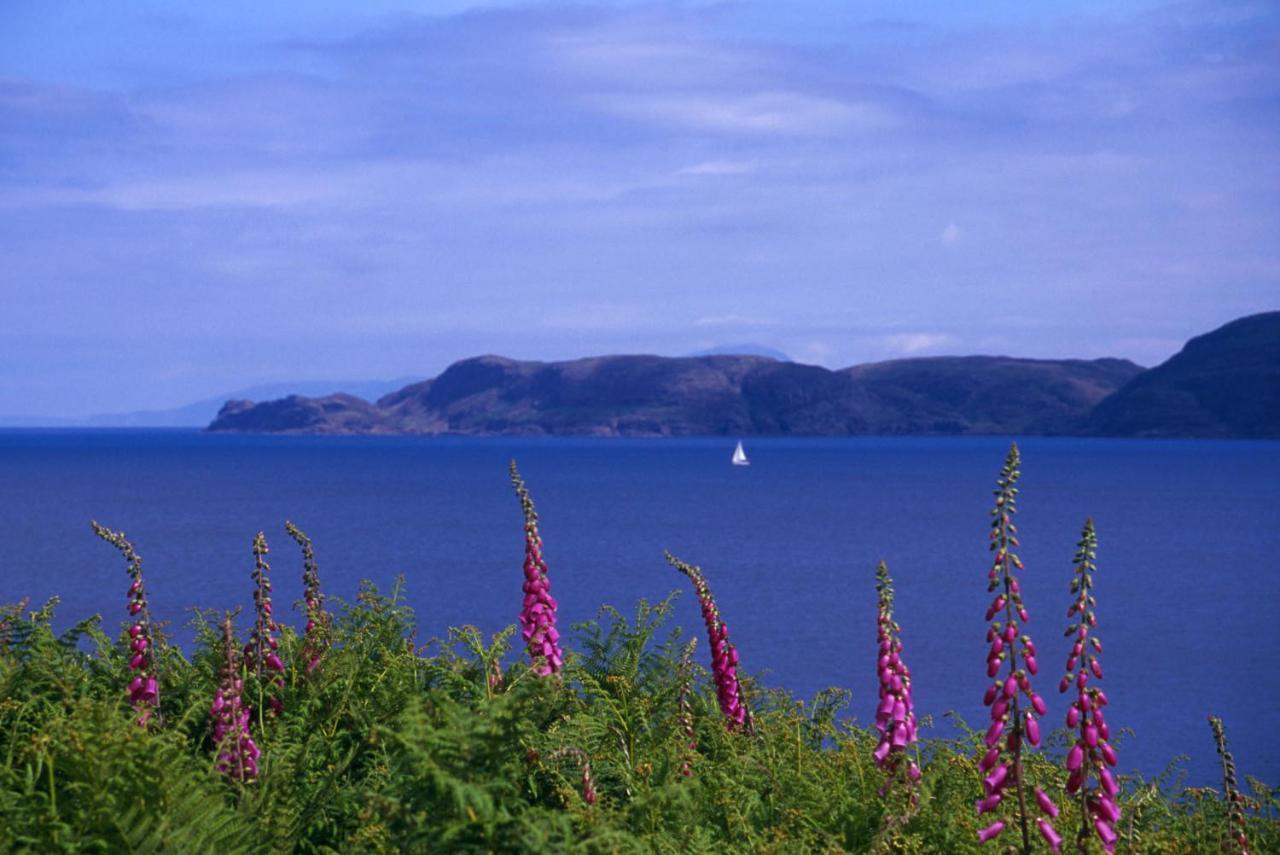Bed and Breakfast Glengorm Castle Tobermory Exteriér fotografie